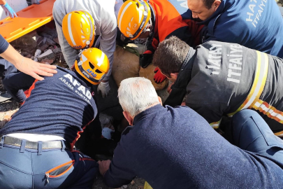 10 metre derinliğindeki kuyuya düşen kadın kurtarıldı