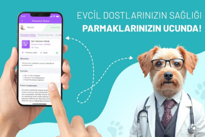 'Pet Nabız' sistemi ile evcil hayvan sağlığı dijital platformdan takip edilebilecek