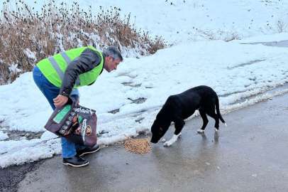 Sokak hayvanları için besleme çalışması