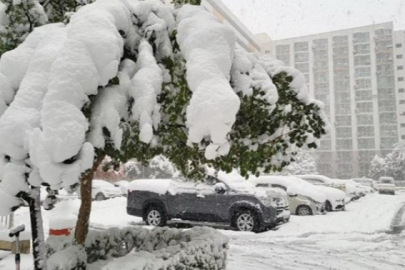 Güney Kore'de yoğun kar yağışı: 2 ölü