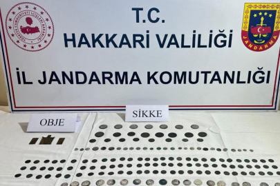 Hakkari'de Bizans dönemine ait 163 sikke ele geçirildi