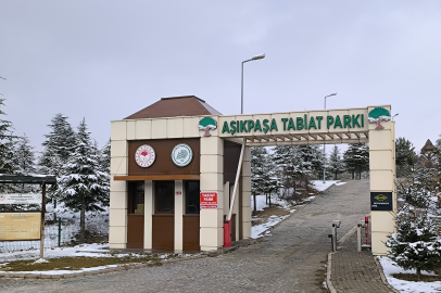 Tabiat parkında  korkunç olay