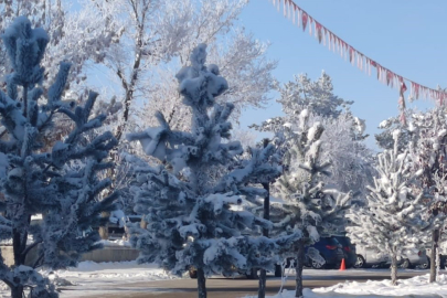 Erzurum'da sıcaklıklar -24 dereceye kadar düştü