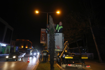 Palmiyeler için dondurucu soğuklara karşı özel önlem