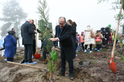 Balıkesir'de 35 bin yeni fidan toprakla buluştu