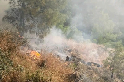 İskenderun'da orman yangını! Zamanında müdahale ile söndürüldü