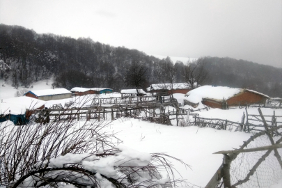 Amasya'nın yüksek kesimlerine kar yağdı