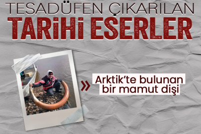 Tesadüfen çıkarılan harika tarihi eserler