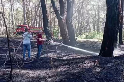 Yangında zarar gören ağaçlar kesildi