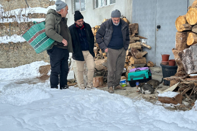 Artvin’de mezrada kar nedeniyle mahsur kalan 4 kedi de kurtarıldı