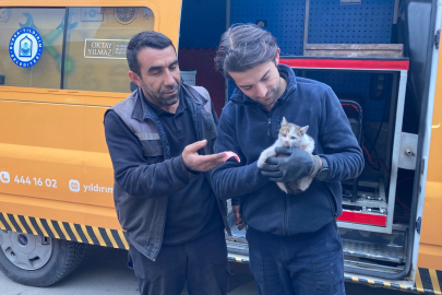 Bursa'da kedi kurtarma operasyonu! 2 saatte kurtarıldı