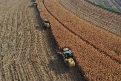 Çiftçilere bugün 323,7 milyon lira tarımsal destekleme ödemesi yapılacak