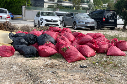 Nilüfer’de çöpler zamanında toplanmıyor