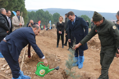 Kahramanmaraş'ta fidanlar toprakla buluşturuldu