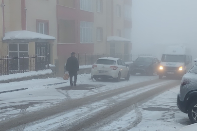 Erzurum sis ve kara teslim oldu