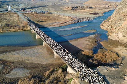 Iğdırlı göçerler, Kars, Ardahan ve Ağrı'nın yaylalarından zorlu yolculukla dönüyor