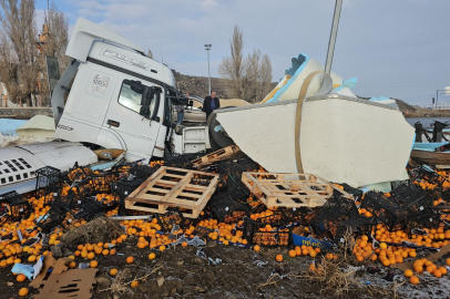 Portakal yüklü tır devrildi: Sürücü yaralandı