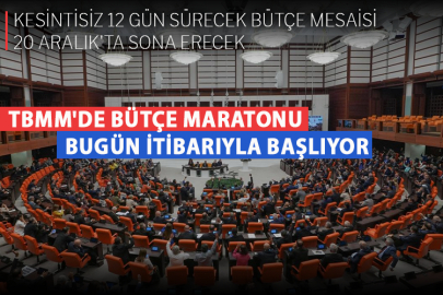 TBMM'de bütçe maratonu bugün itibarıyla başlıyor