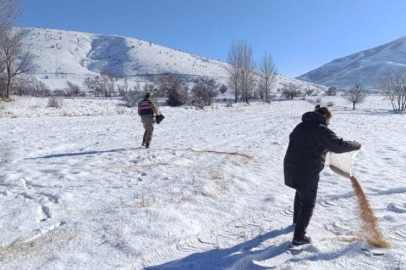 Bitlis’te yaban hayvanları için doğaya yem bırakıldı