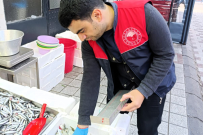 Kırklareli'nde su ürünleri denetimi yapıldı