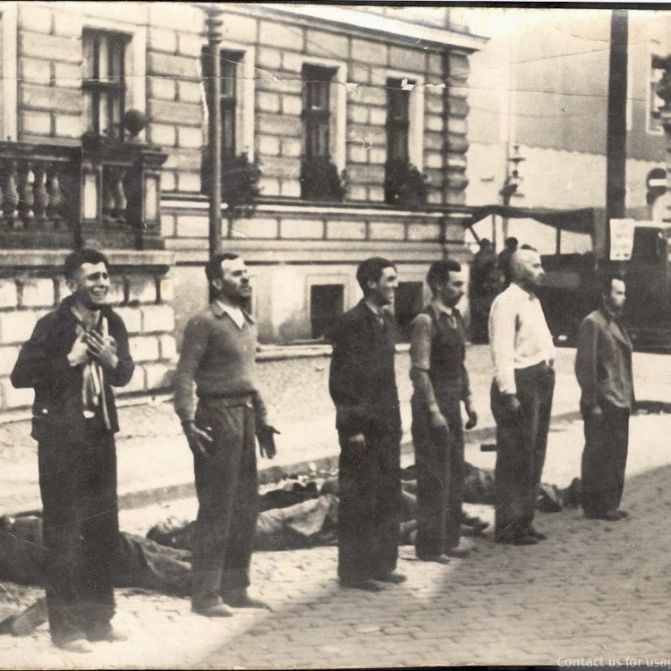 15. 1939'da kurşuna dizilerek öldürülmeden hemen önce altı Polonyalı sivilin farklı ifadeleri.