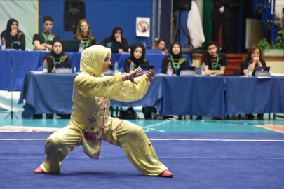 Türkiye Wushu Kung Fu Federasyonu, 2025'i "wushu yılı" ilan etti