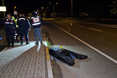 Kardeşini kazadan korumak isteyen ağabey, otomobilin çarpmasıyla hayatını kaybetti