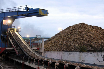 Kırşehir Şeker Fabrikası, pancar işleme kapasitesini 10 bin tona çıkaracak