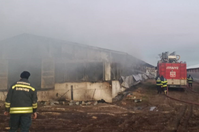 Tavuk çiftliğinde korkutan yangın: Maddi hasar oluştu