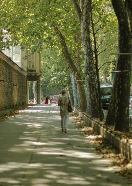 Ağaçlı Yol, Beşiktaş