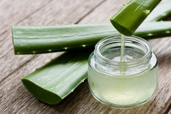 ALOE VERA JELİ KULLANIMI