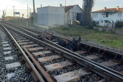 Başıboş halde dolaşan iki büyükbaş hayvana tren çarptı