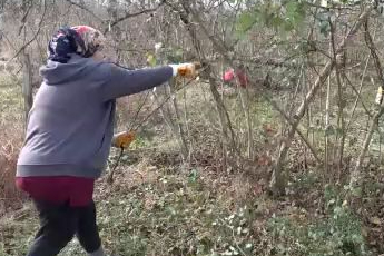 Karadenizli kadınlar ekonomiye katkı sağlıyor