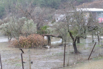 Muğla'da sağanak nedeniyle tarım arazileri sular altında kaldı