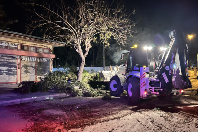 Kuvvetli fırtına ağaçları yerinden söktü, çatıları uçurdu