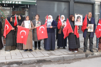 Vanlı aileler, DEM Parti İl Başkanlığı önündeki eylemlerini sürdürdü