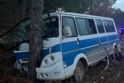 Bilecik’te kontrolden çıkan minibüs yol kenarındaki ağaca çarptı