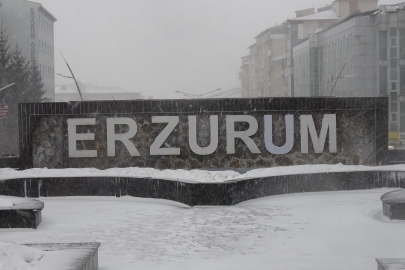 Erzurum'da yoğun kar yağışı etkili oluyor