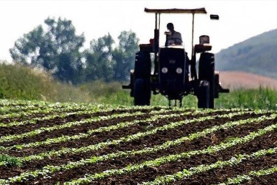 TARSİM: Tarımsal sürdürülebilirlik ancak tarım sigortası ile mümkün