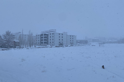 Bingöl'de bir ilçenin tüm köy yollarını ulaşıma kapandı