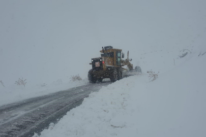 Hakkari'de 51 yerleşim yerinin yolu tekrar ulaşıma açıldı