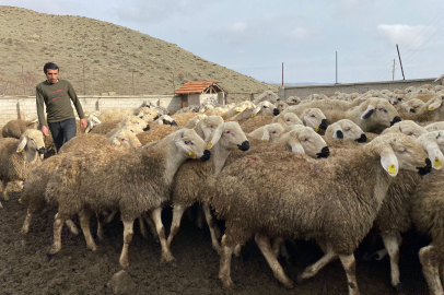 Aile boyu sürdürdükleri hayvancılığa çoban bulamıyorlar