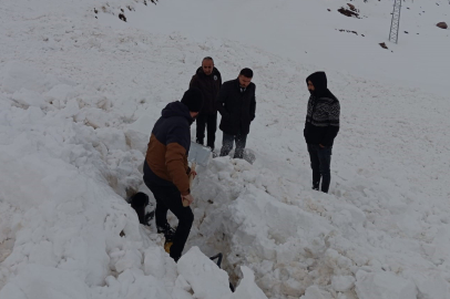 Şırnak'a çığ düştü! Kar altında kalan kepçe operatörü zorlukla çıkarıldı