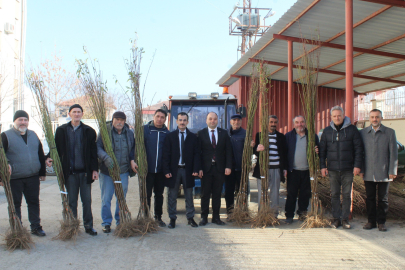 Tokat'ta üreticilere bin badem fidanı dağıtıldı