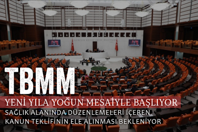 TBMM yeni yıla yoğun bir mesaiyle başlıyor