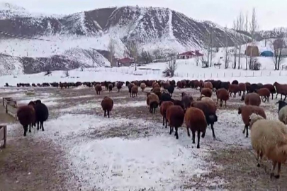 Besicilerin kar altında zorlu mesaisi sürüyor