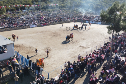 Bodrum'da "Geleneksel Deve Güreşi Festivali" yapıldı