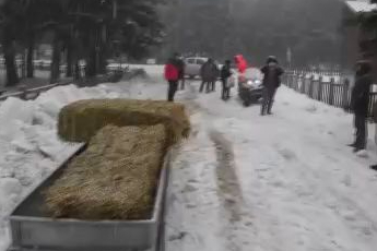 Bursa'da yaban hayvanları unutulmadı, doğaya yem bırakıldı