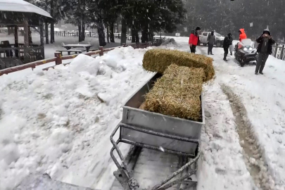 Bursa'da yaban hayvanları unutulmadı, doğaya yem bırakıldı