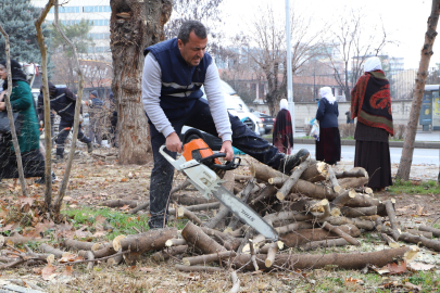 Diyarbakır'da 24 bin 833 ağaç budandı